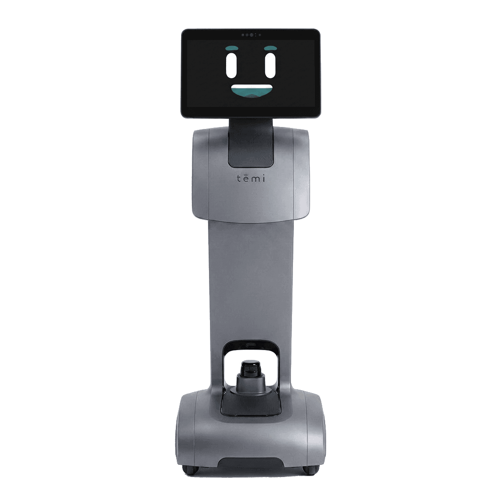 Temi V3